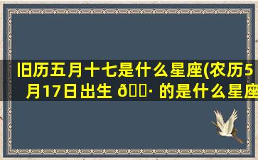 旧历五月十七是什么星座(农历5月17日出生 🌷 的是什么星座)